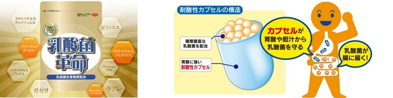 ���_�ۊv�����T�C�g